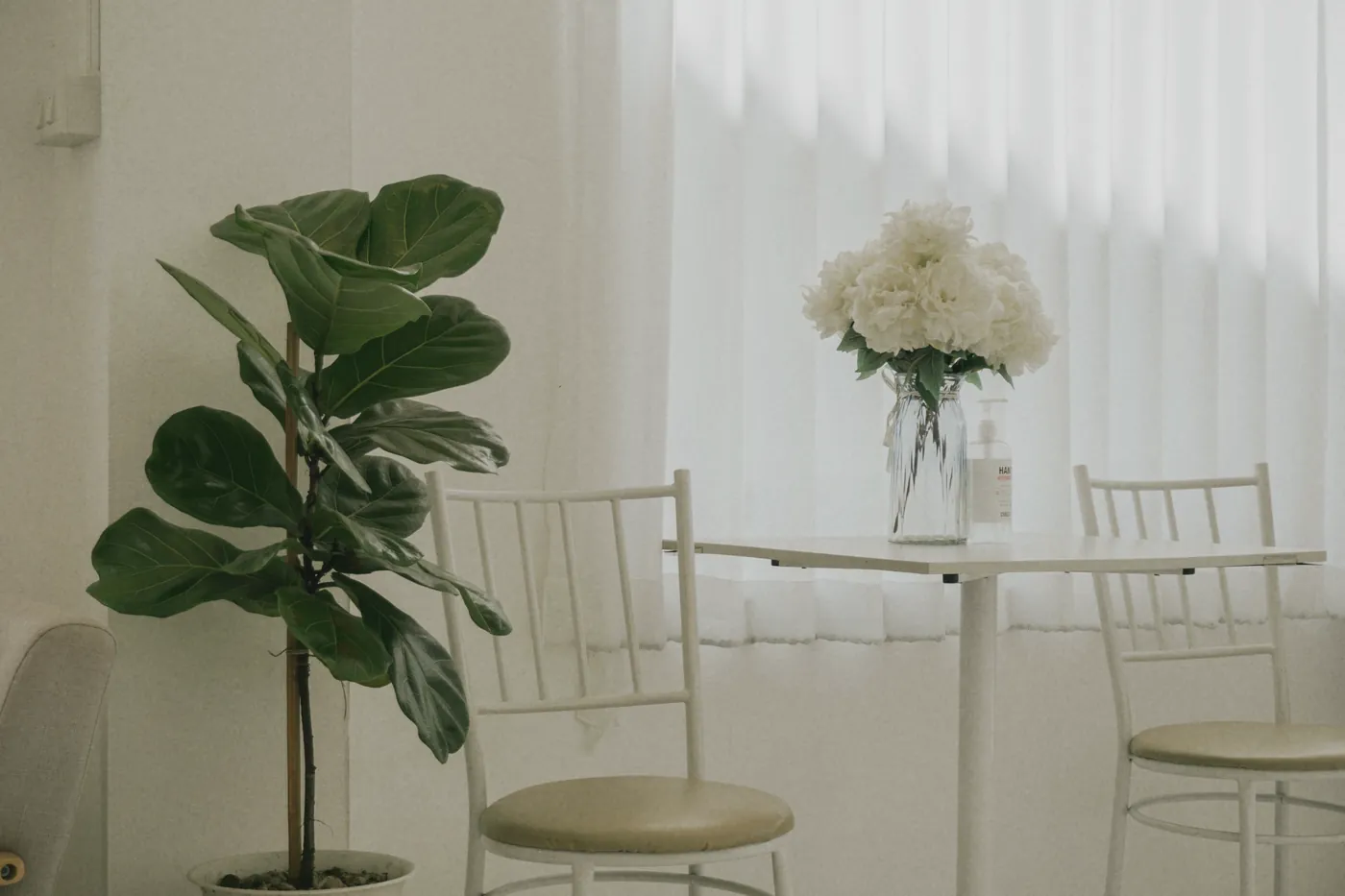 A bright waiting area with white chairs and indoor plants
