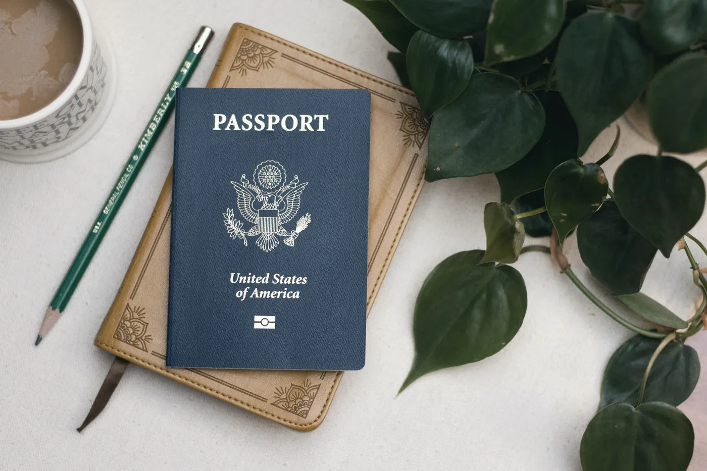 A passport lying on a wooden tray beside green leaves