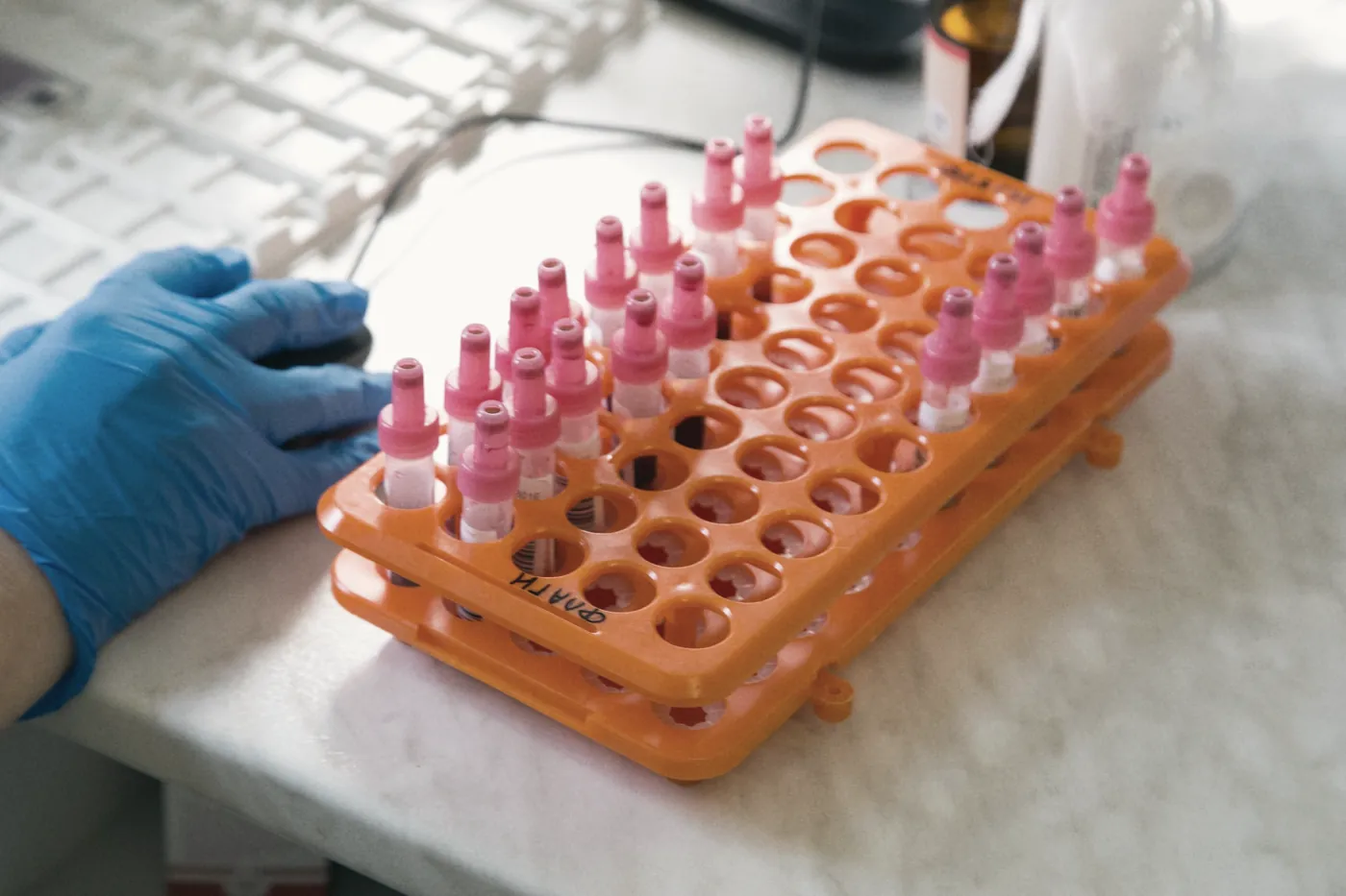 Gloved hands placing sample tubes into an orange rack