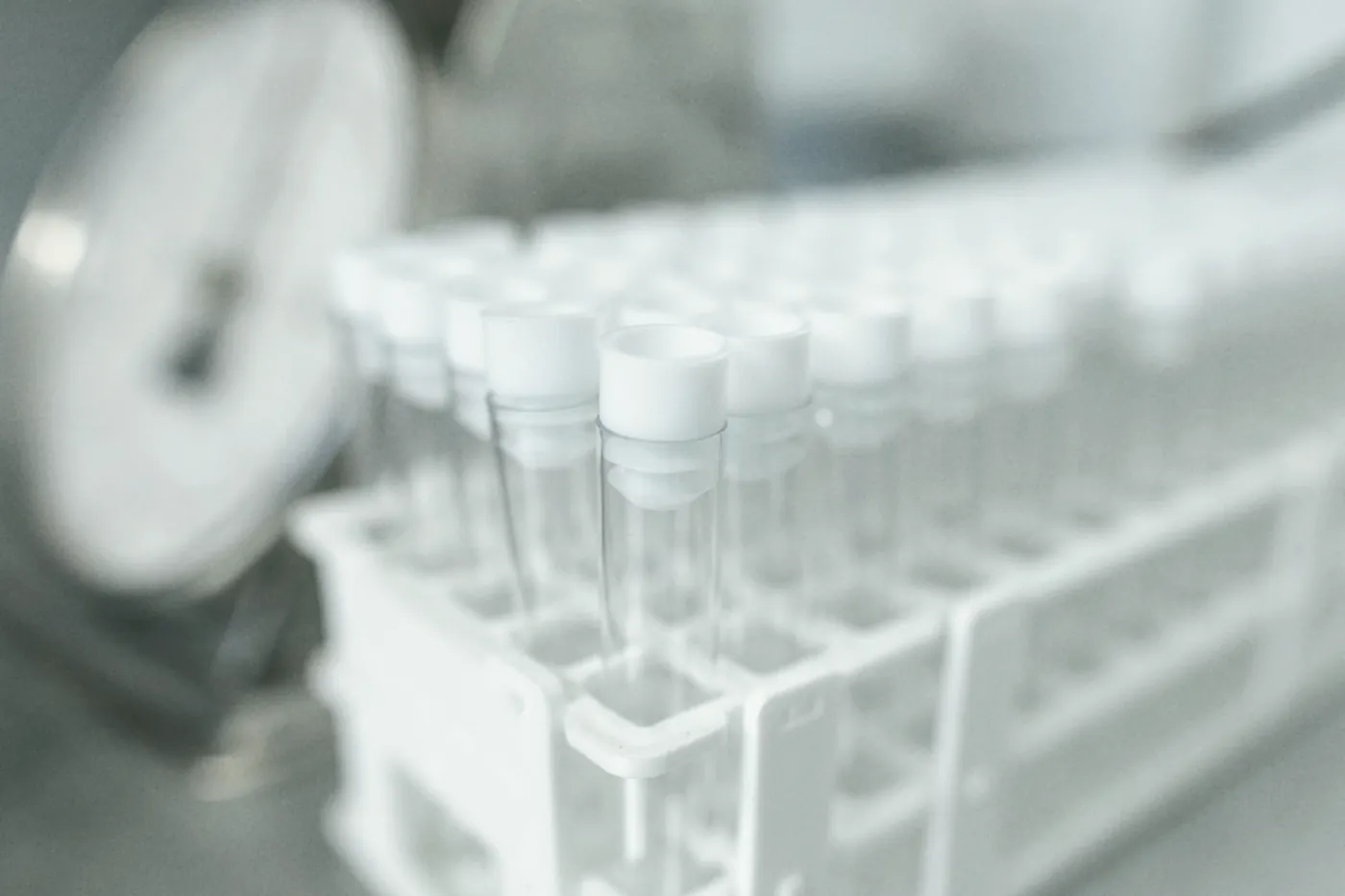 Empty sample tubes standing in a rack on a laboratory bench