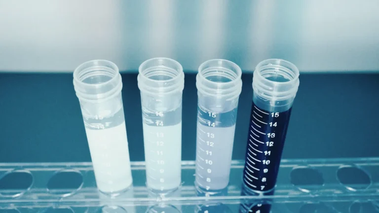 Laboratory sample tubes with blue caps standing in a rack