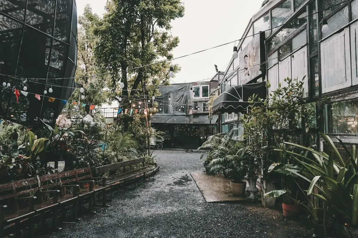 A quiet canal-side path lined with plants in Bangkok
