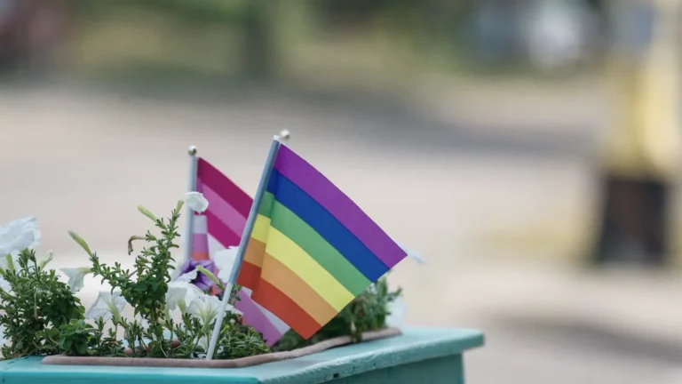 Small pride flags in a planter on a balcony